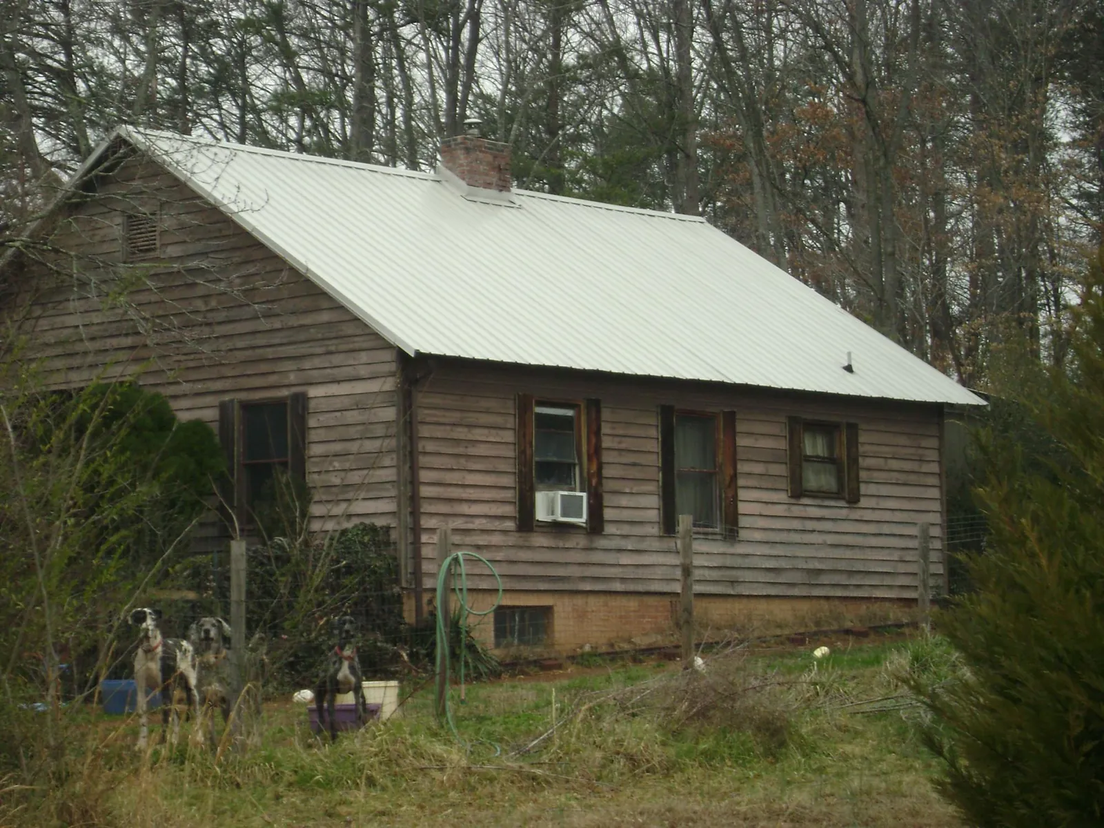 White metal roof on an old wood sided farmhouse, from a Asphalt Shingle Roof Repair job in Nine Mile Falls